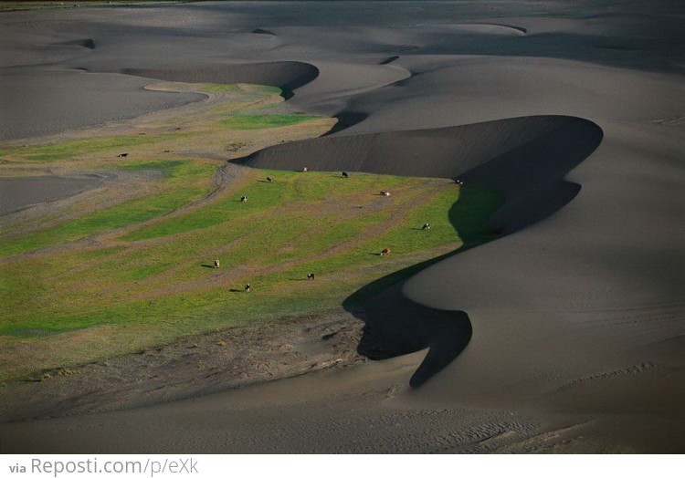 Black Dunes