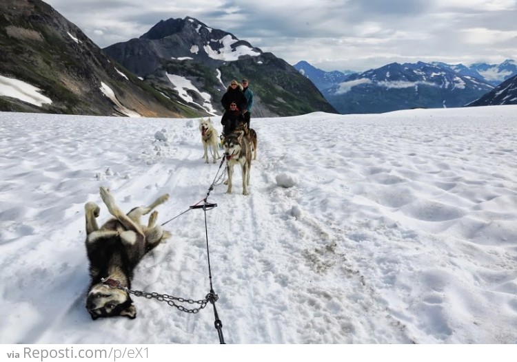 Alaska's version of a flat tire