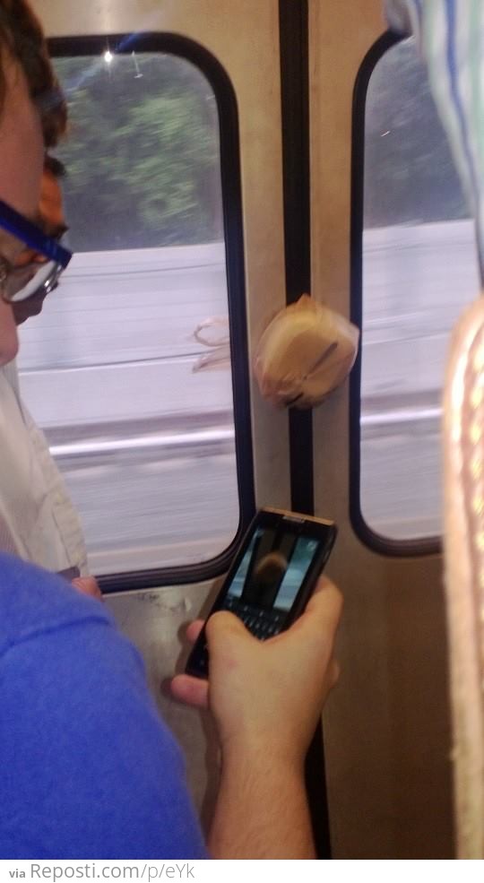 This guy's lunch made it on the subway without him