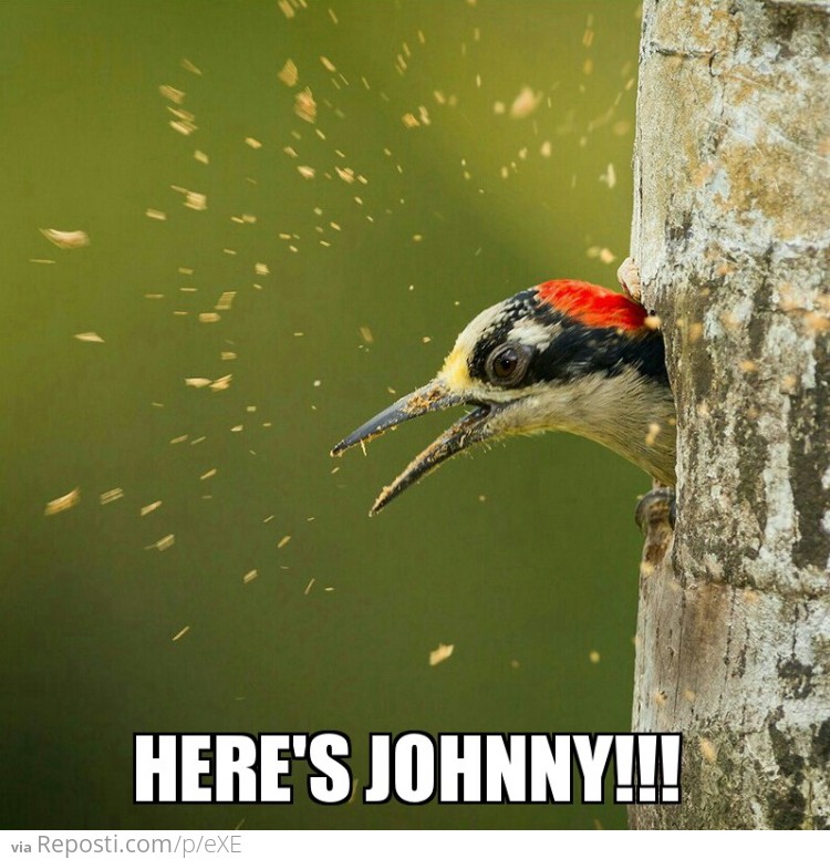 Here's Johnny!