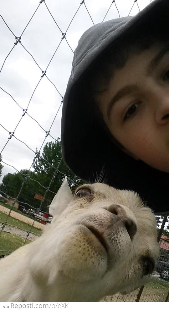 Selfie with a goat