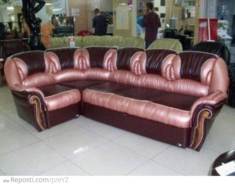 Vagina couch