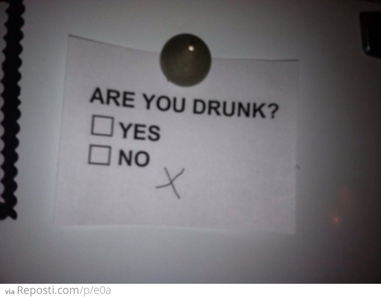 Are you drunk?