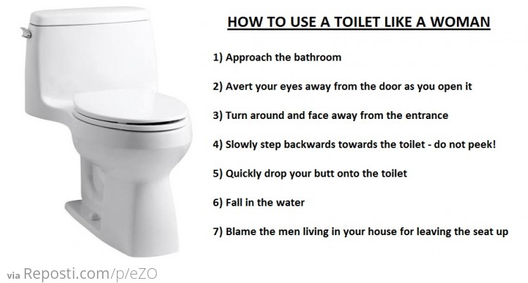 How To Use A Toilet Like A Woman