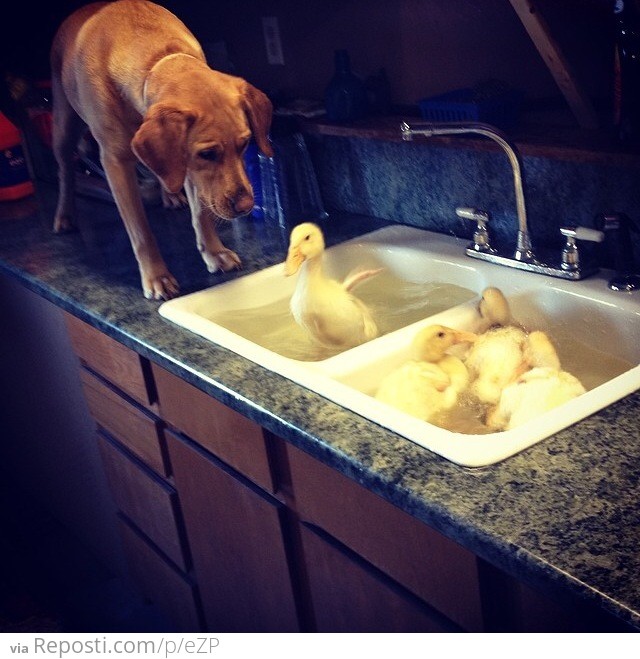 Supervising bath time