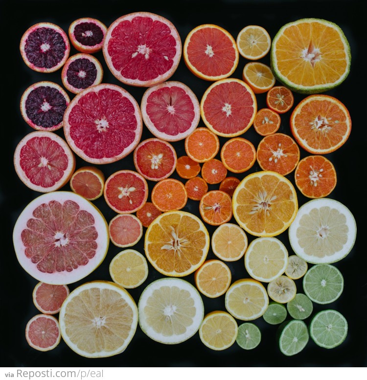 Citrus Rainbow