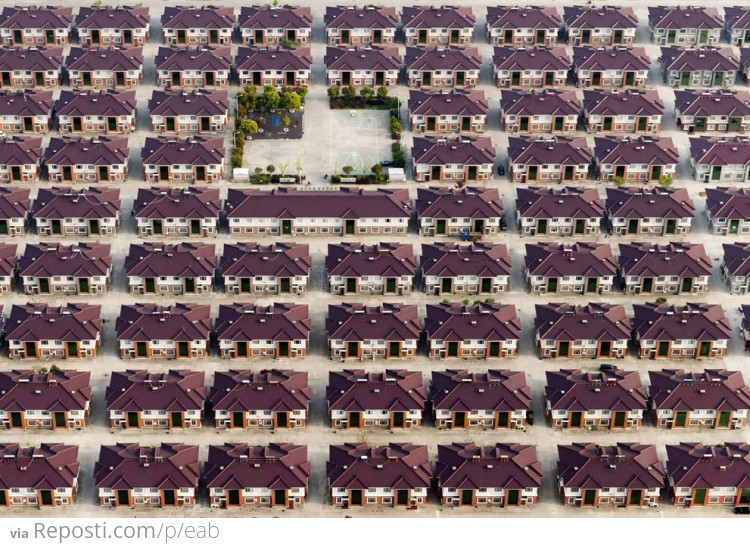 Chinese Homes