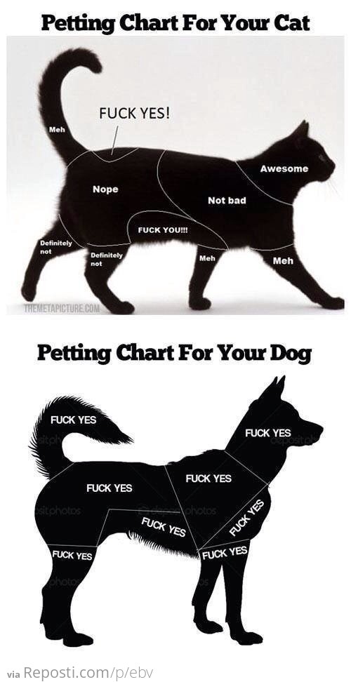 Petting Chart