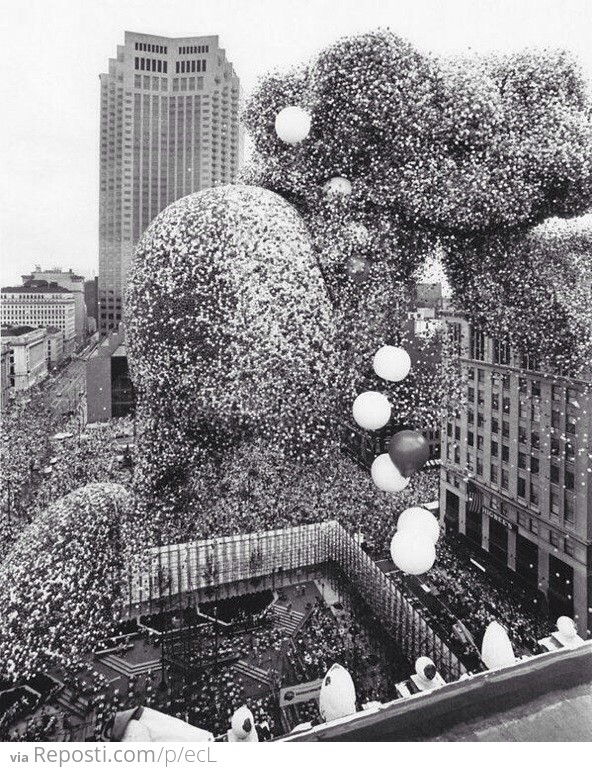 The Cleveland Balloonfest