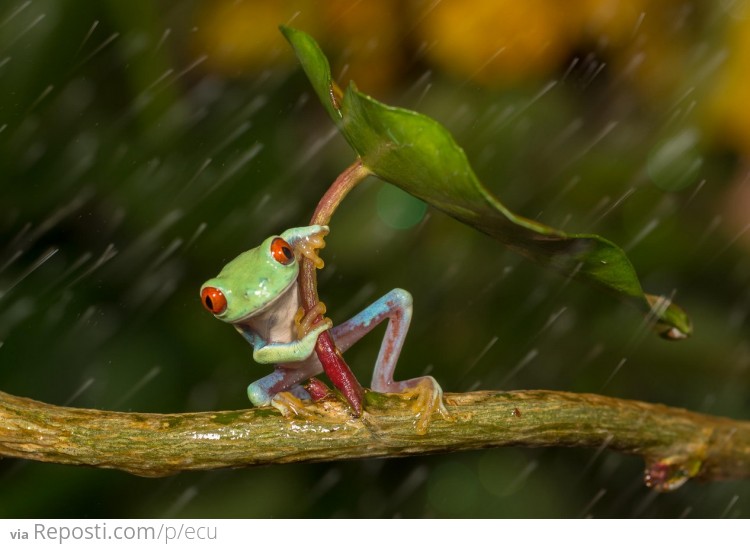 Weather Channel Audition