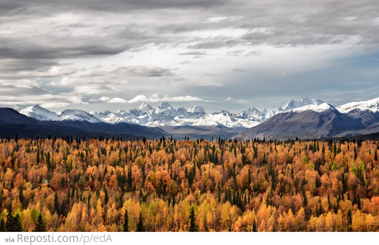 Autumn in Alaska