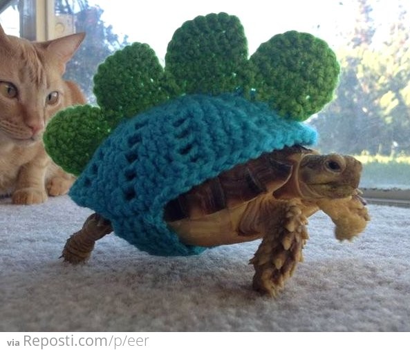 Tortoise Sweater