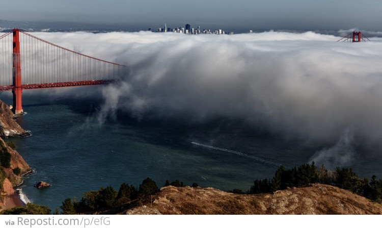 San Francisco Fog