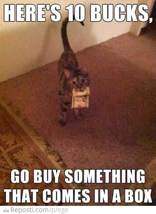 Cat Dollars