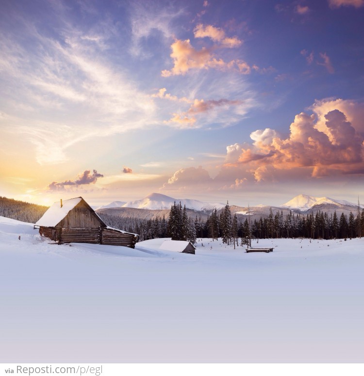 Winter Countryside