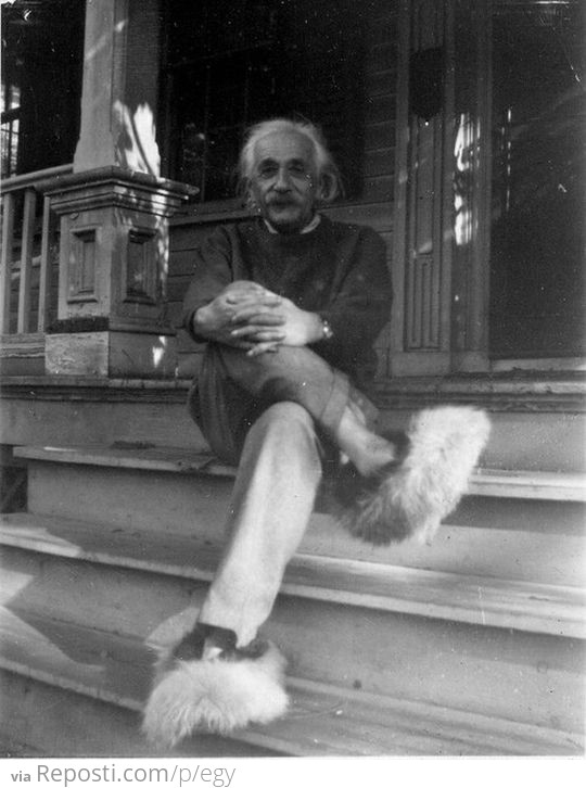 Einstein Wearing Fuzzy Slippers