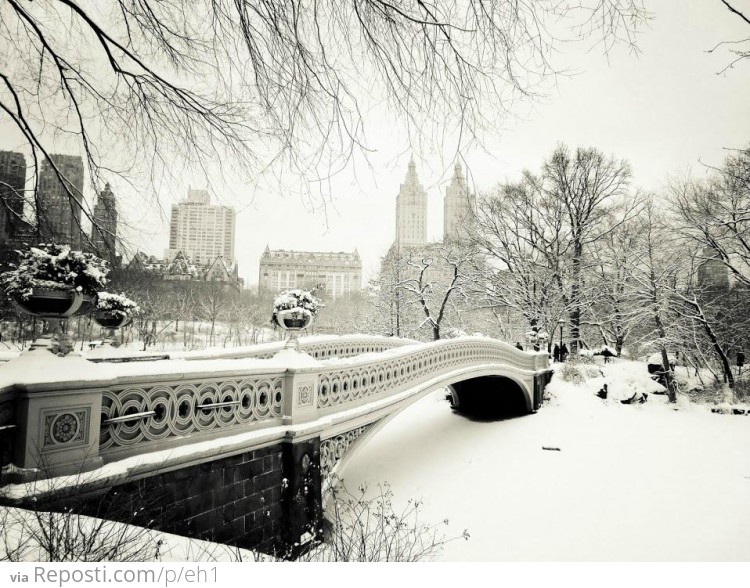 Central Park Snow