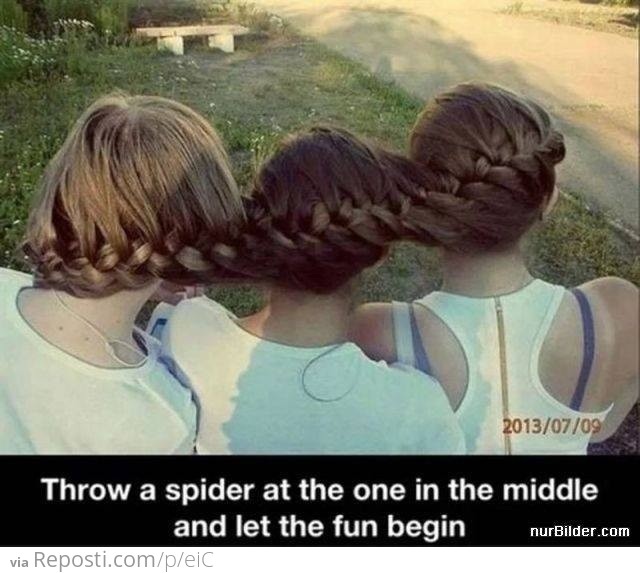 Spider Fun