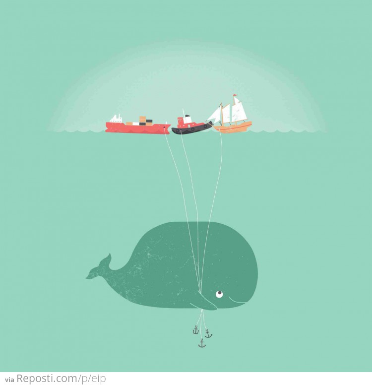 Whale Balloons