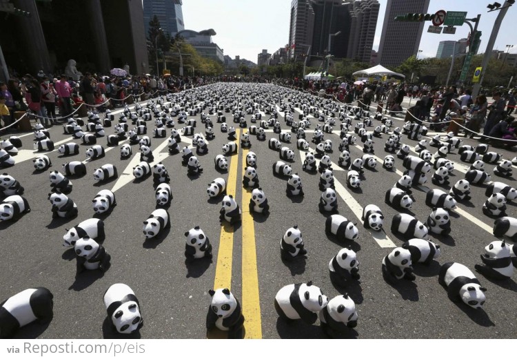 What pandas?