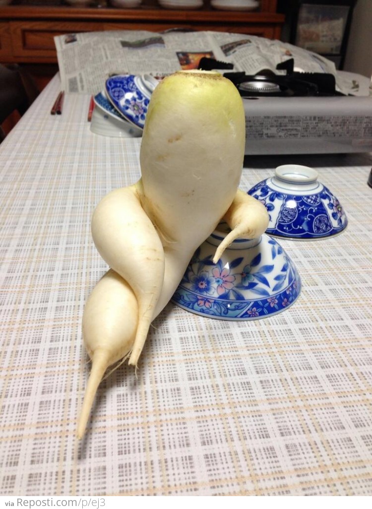 Suave daikon radish