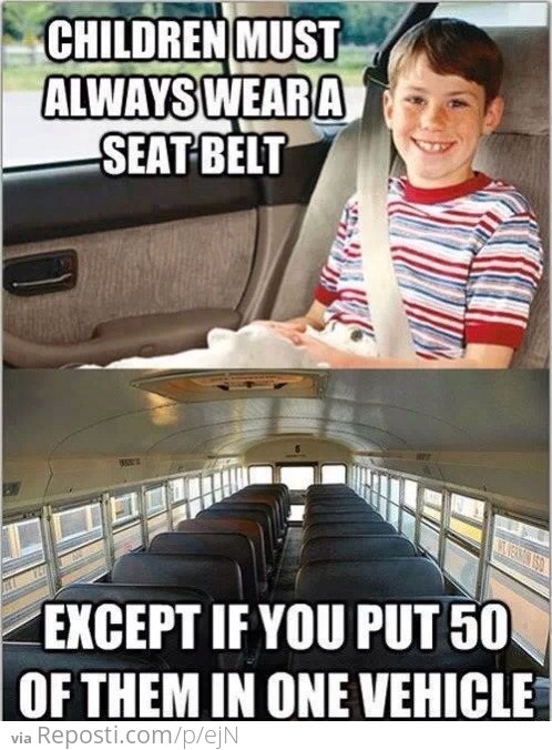 Seat Belts