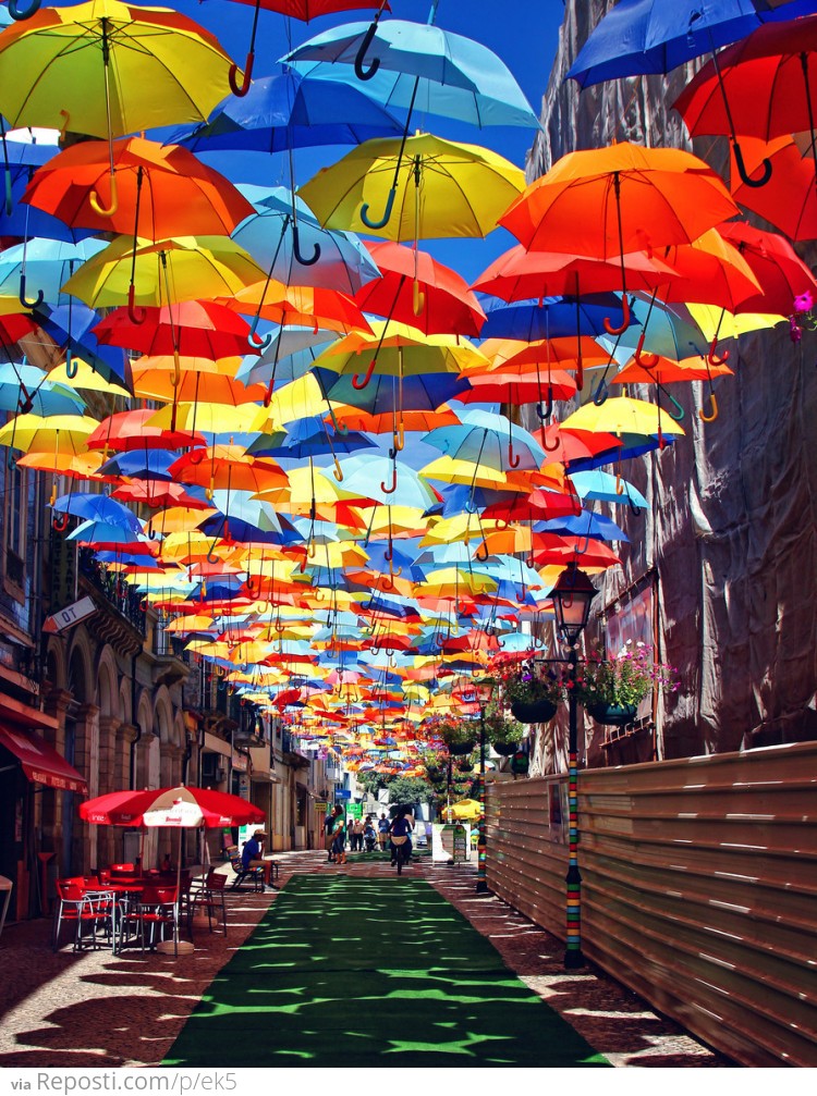 Umbrella Street