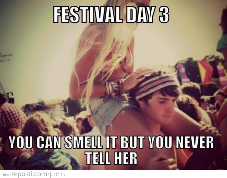 4 Day Music Festivals