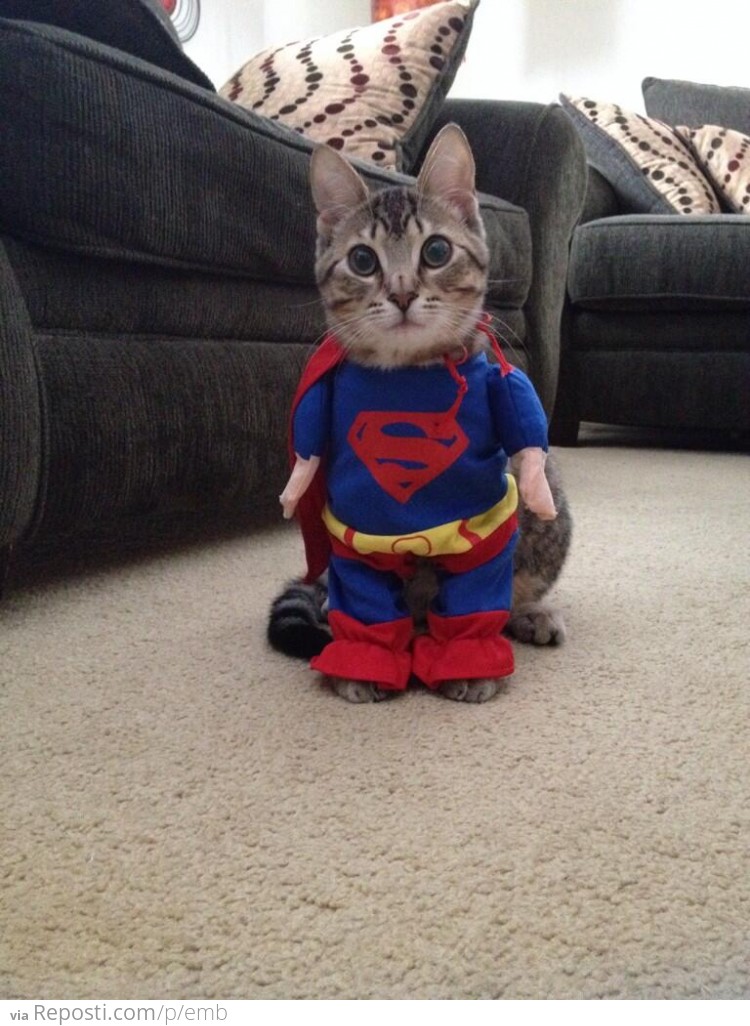 Supercat