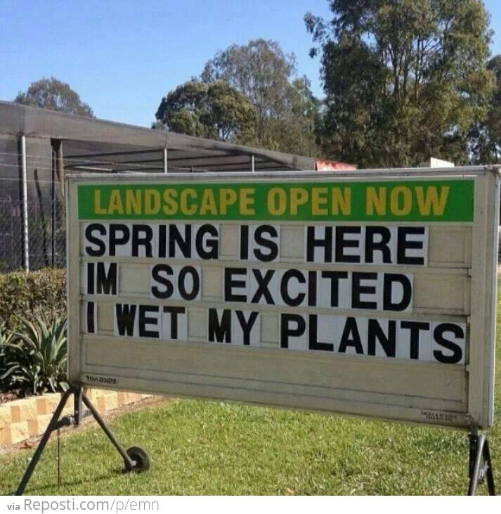 Spring!