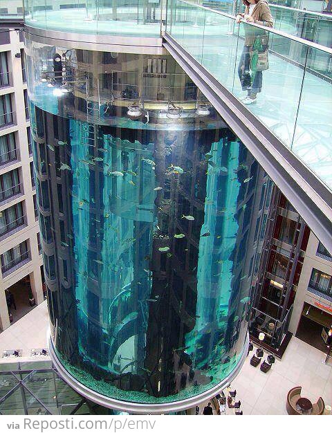 Aquarium Elevator