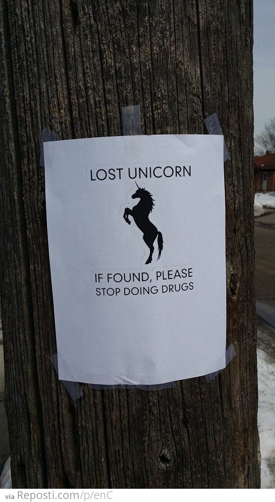 Lost Unicorn