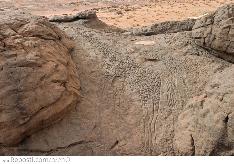 10,000 year old rock engravings of giraffes