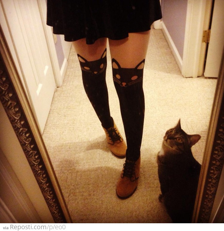 Kitty Stockings