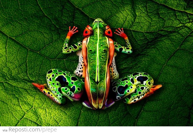 Frog