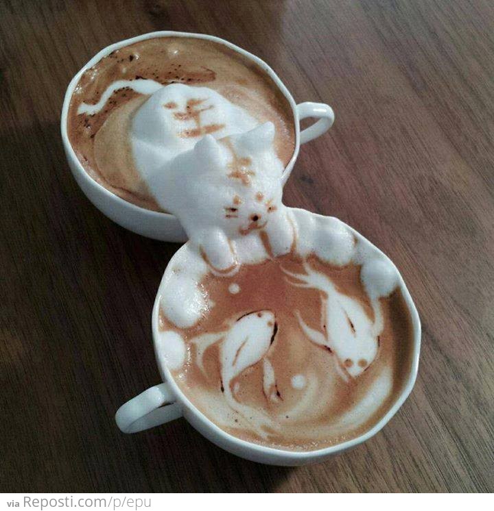 Kitty Coffee