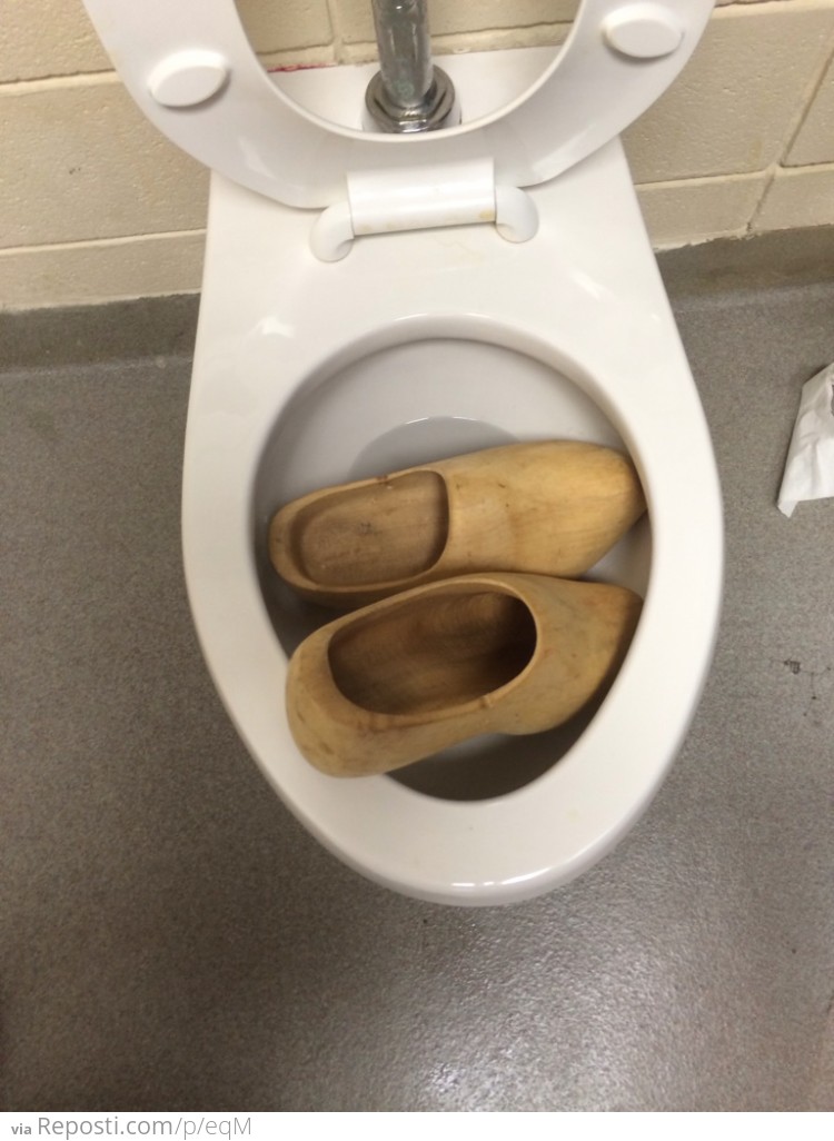 Someone clogged the toilet