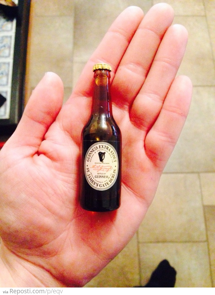 What is this? Guinness for ants?