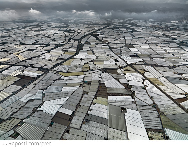 Greenhouses