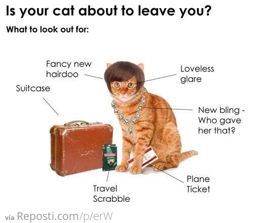 Is your cat about to leave you?