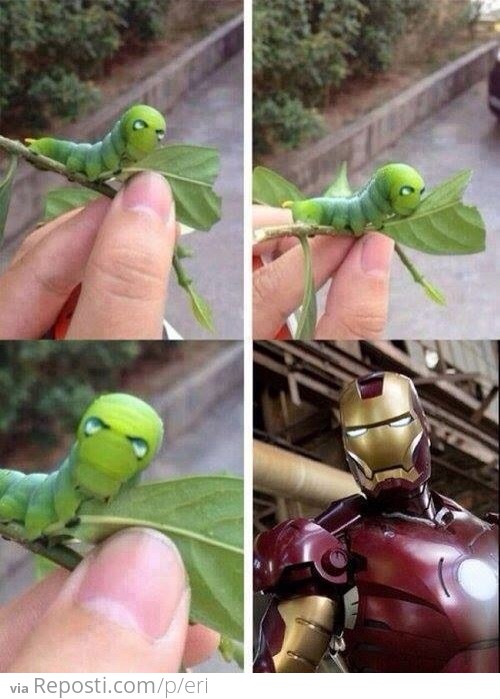 Iron Man Caterpillar