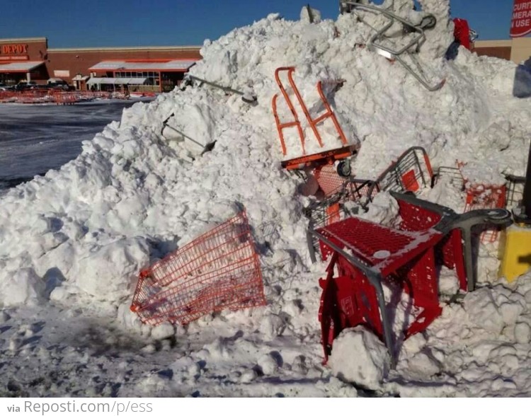 This plow driver doesn't care