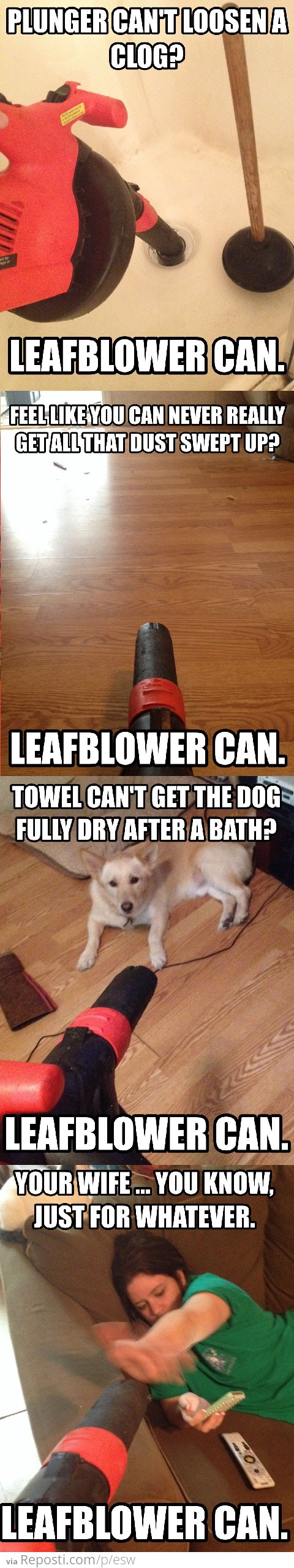 Leafblower Can