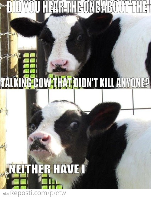 Talking Cow