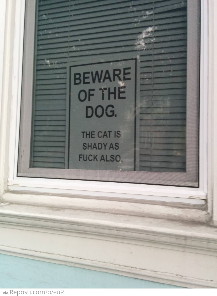 Beware of the dog