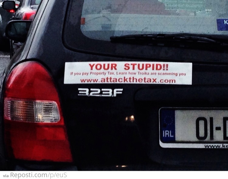 Your Stupid