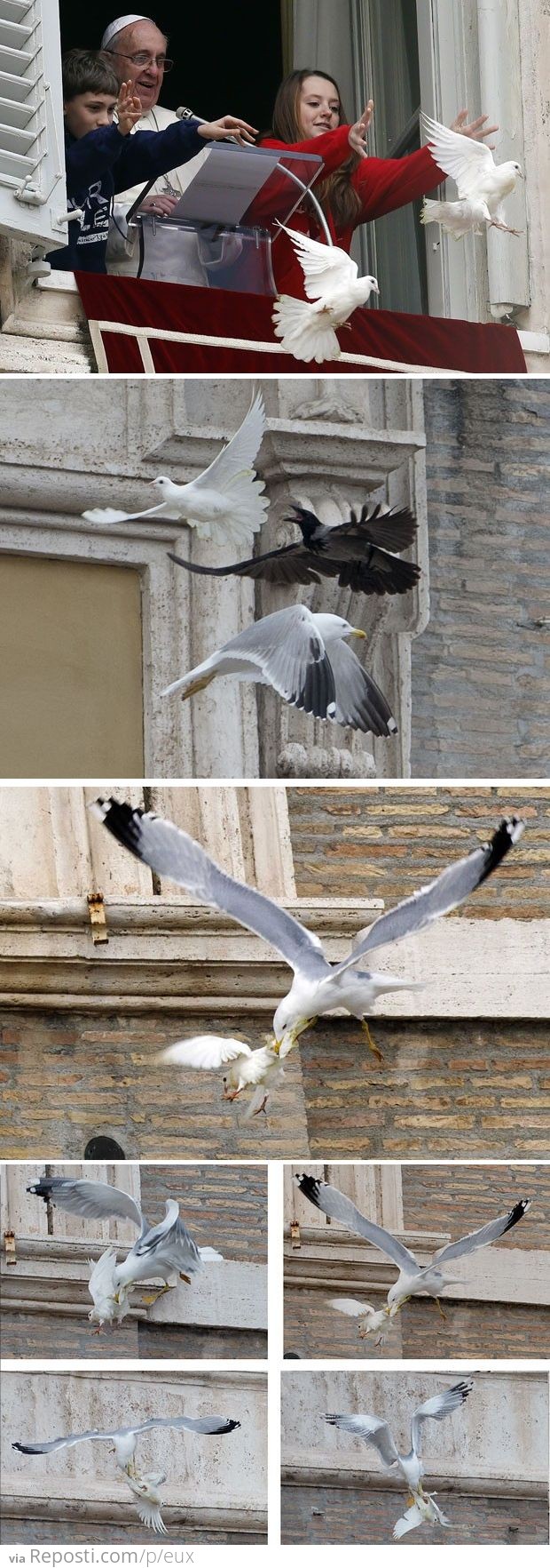 Pope’s Dove of Peace