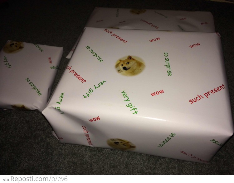 Doge Christmas