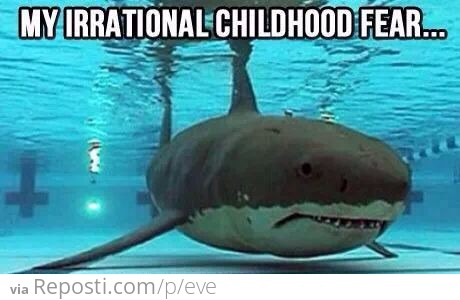 Shark in the Pool