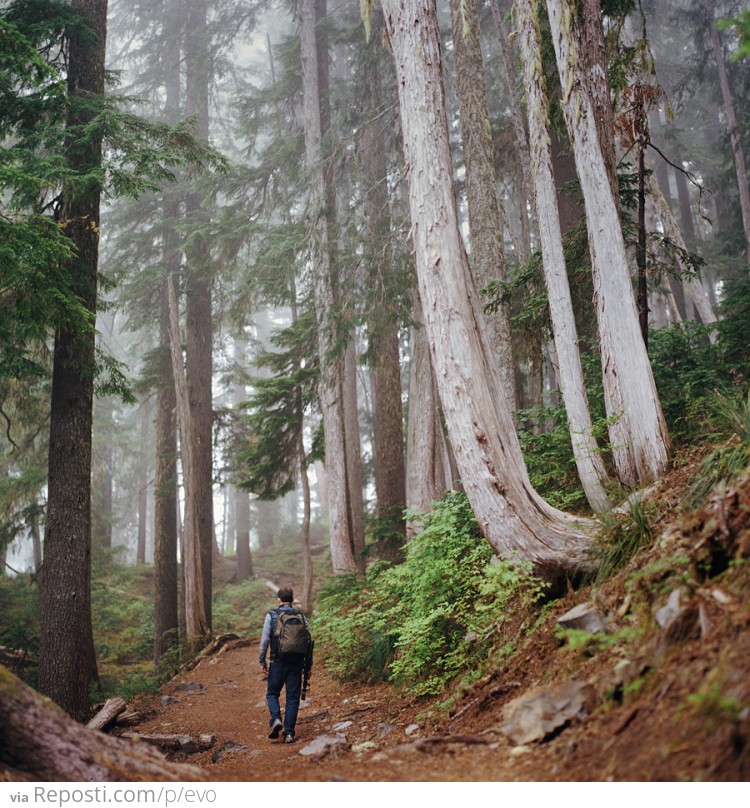 Hiking